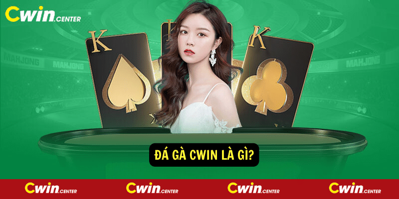 Đá gà Cwin là gì?